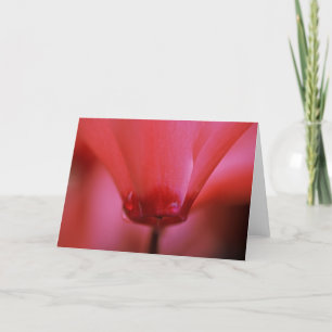 Rosa heiße Gruß-Karte Karte