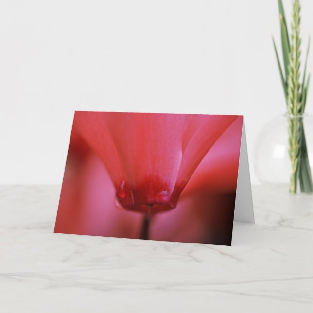 Rosa heiße Gruß-Karte Karte (Vorderseite)