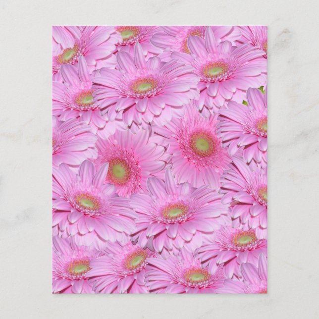 rosa, helle Cluster von Gerbera-Blume, Flyer (Vorne)
