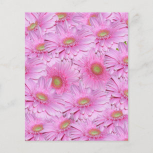 rosa, helle Cluster von Gerbera-Blume, Flyer