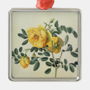 Rosa hemispherica, 18. Jahrhundert Silbernes Ornament