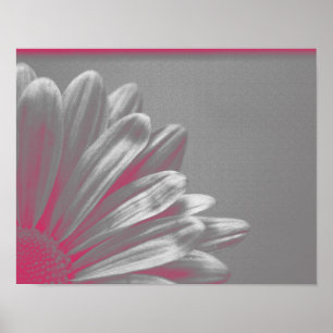 Rosa hervorgehobene Blume Poster