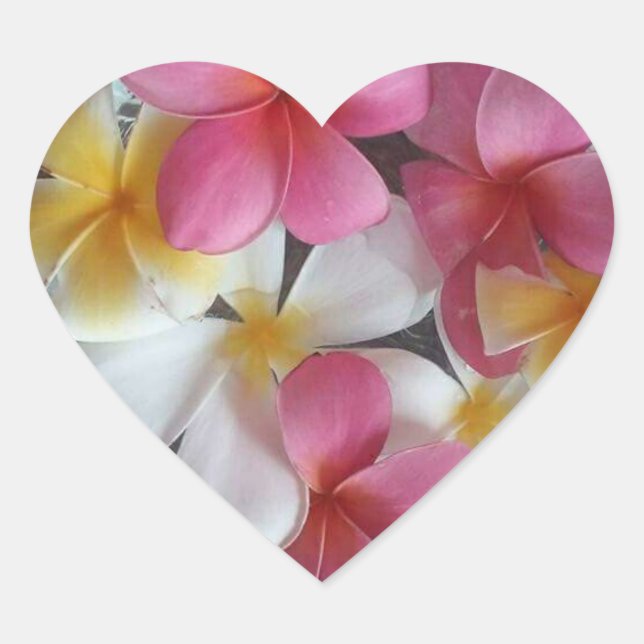 Rosa, herzförmige Plumeria-Blume-Aufkleber Herz-Aufkleber (Vorderseite)
