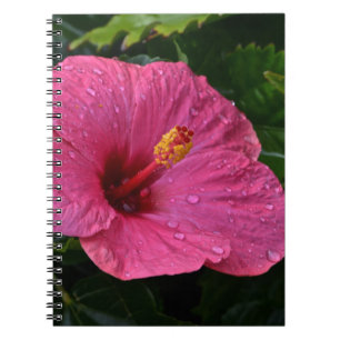 Rosa Hibisken Notebook Notizblock