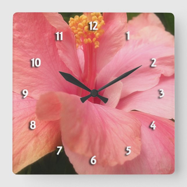 Rosa Hibisken, rund Uhr (Vorderseite)