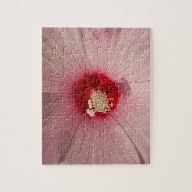 Rosa Hibiskus 8x10 Foto Puzzle mit Geschenkboxen (Vertikal)