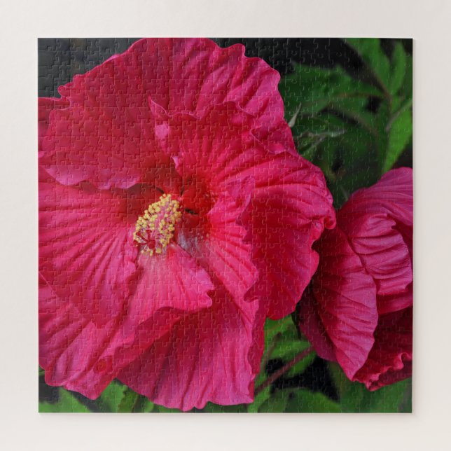 Rosa Hibiskus Blume (Vertikal)
