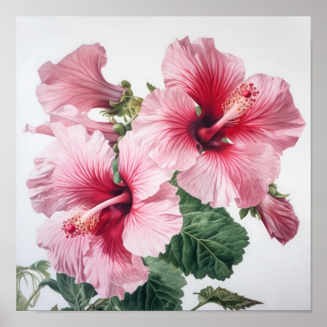 Rosa Hibiskus Blume Art Print Poster (Vorne)