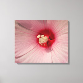 Rosa Hibiskus Blume Nah Foto Single drucken Leinwanddruck