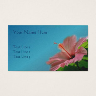 Rosa Hibiskus Blume Natur