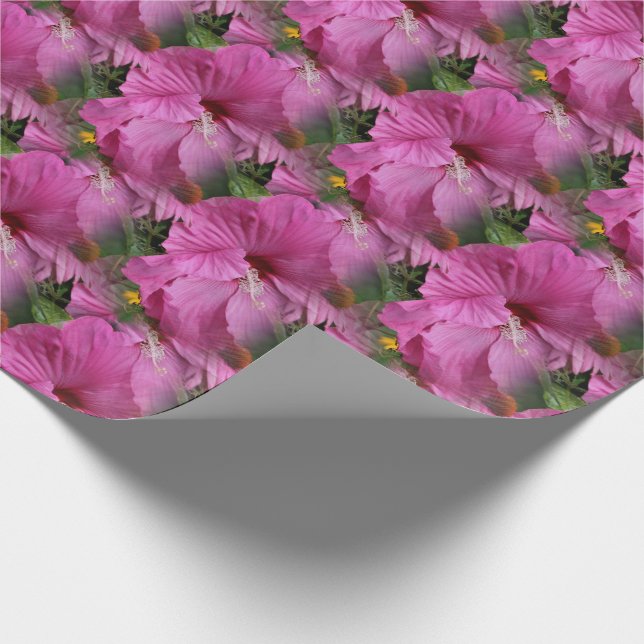 Rosa Hibiskus Blume Natur Geschenkpapier (Ecke)