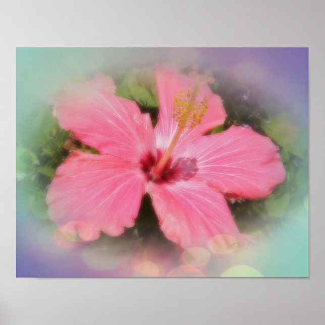 Rosa Hibiskus Blume Poster (Vorne)