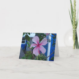 Rosa Hibiskus Blume und blaue Hütte Karte
