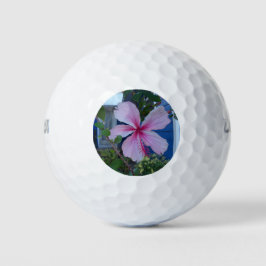 Rosa Hibiskus Blume und eine Hütte mit blauem Stra Golfball
