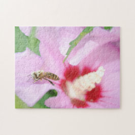 Rosa Hibiskus Blume und Honey Beautiful Niedlich