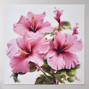Rosa Hibiskus-Blumen-Kunst-Druck Poster