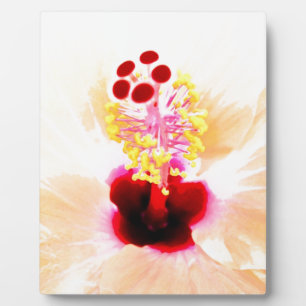 Rosa Hibiskus Fotoplatte