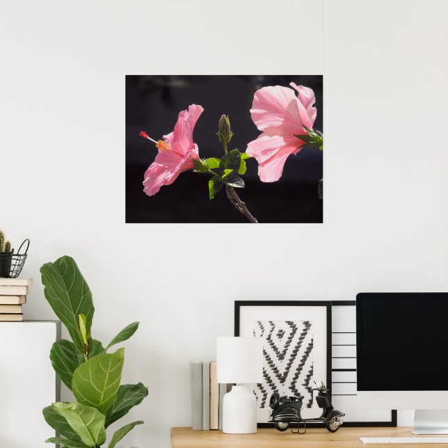 Rosa Hibiskus in Schwarz Poster (Heimbüro)