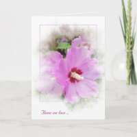 rosa Hibiskus mit Maskenrahmen Beileid