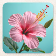 Rosa Hibiskus strahlende Eleganz