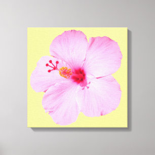 Rosa Hibiskus Tropenblume Leinwanddruck