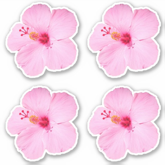 Rosa Hibiskus Tropische Blume Aufkleber (Vorderseite)