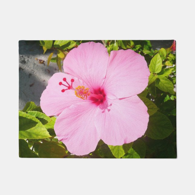 Rosa Hibiskus Tropische Blume Fußmatte (Vorderseite)