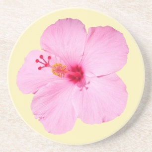 Rosa Hibiskus Tropische Blume Getränkeuntersetzer