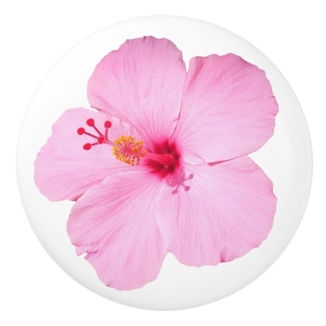Rosa Hibiskus Tropische Blume Keramikknauf (Vorderseite)
