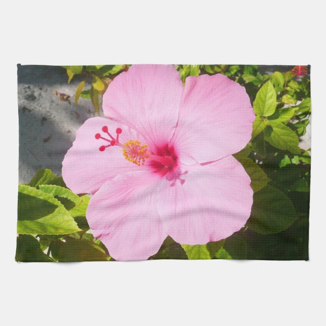 Rosa Hibiskus Tropische Blume Küchentuch (Horizontal)