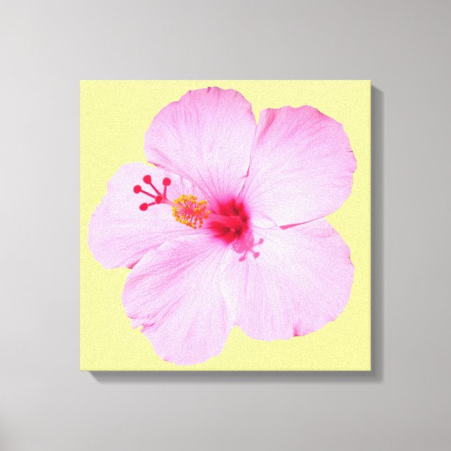 Rosa Hibiskus Tropische Blume Leinwanddruck (Vorderseite)