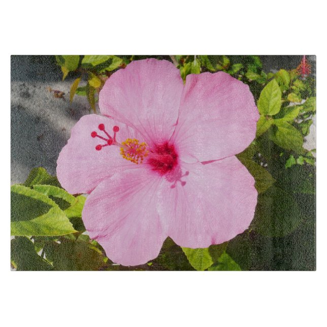 Rosa Hibiskus Tropische Blume Schneidebrett (Vorderseite)