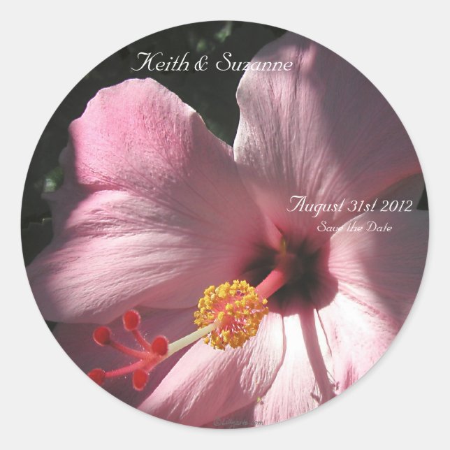 Rosa Hibiskus Tropische Blume Umschlag Aufkleber (Vorderseite)