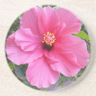 Rosa Hibiskus Untersetzer