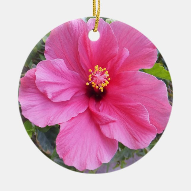 Rosa Hibiskusverzierung, fertigen besonders an Keramikornament (Vorne)