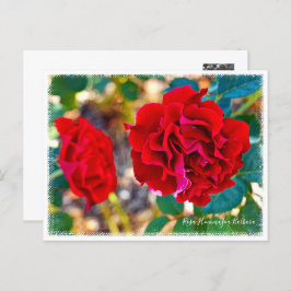 Rosa Hommage a Barbara Postkarte