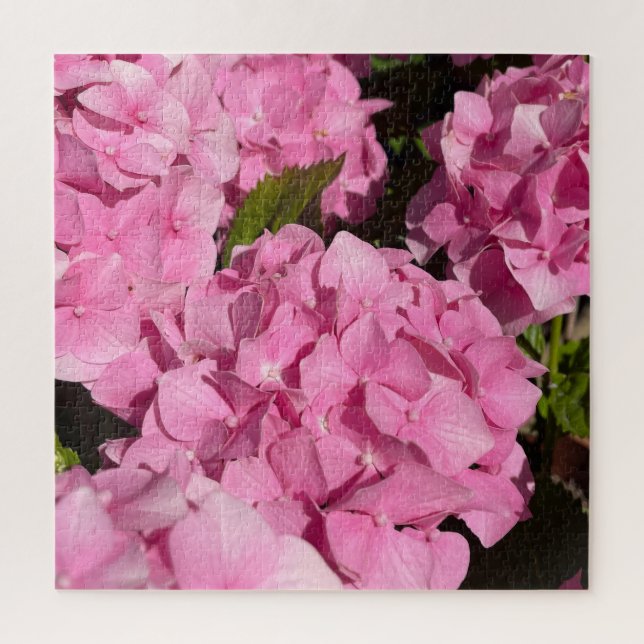 Rosa Hortensie (Vertikal)