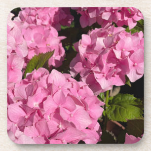 Rosa Hortensie Getränkeuntersetzer