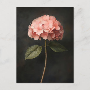 Rosa Hortensien-Botanik-Gemälde Postkarte