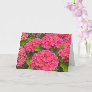Rosa Hortensien-Garten-Blumen-Kunstkarte Karte