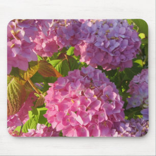 Rosa Hortensien Mousepad