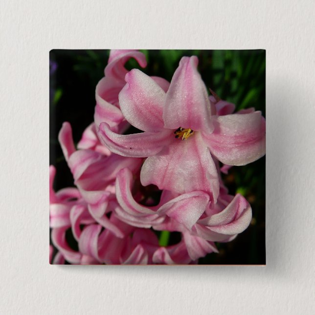 Rosa Hyacinth Frühlingsfloral Button (Vorderseite)