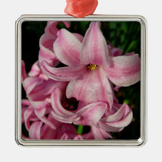 Rosa Hyacinth Frühlingsfloral Ornament Aus Metall (Vorne)