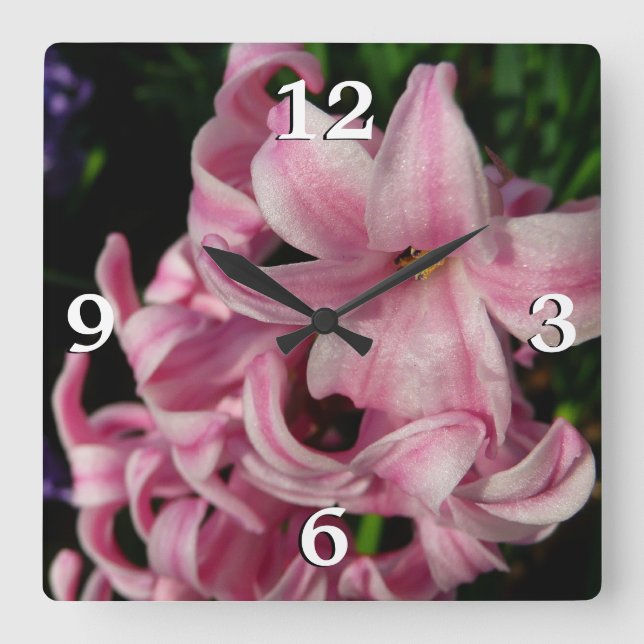 Rosa Hyacinth Frühlingsfloral Quadratische Wanduhr (Vorderseite)