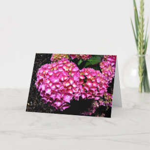 Rosa Hydrangea-Blume Feiertagskarte