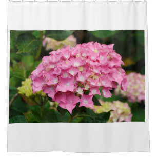 Rosa Hydrangea-Blume im Garten Duschvorhang
