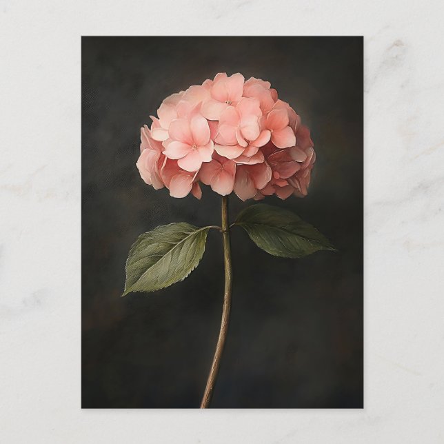 Rosa Hydrangea Botanische Malerei Postkarte (Vorderseite)
