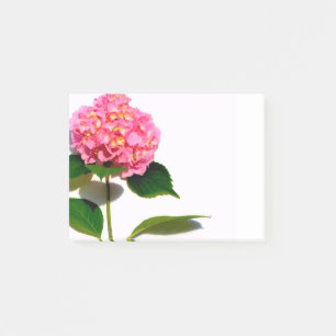 Rosa Hydrangea Rosa Blume Post-it Klebezettel