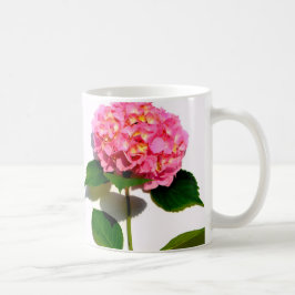 Rosa Hydrangea Rosa Blume Rosa Blüte Kaffeetasse