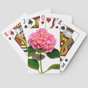Rosa Hydrangea Rosa Blume Rosa Blüte Spielkarten